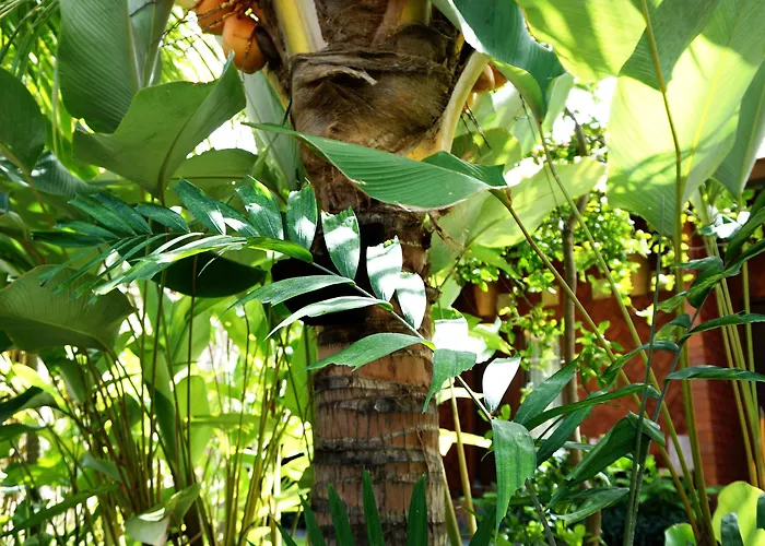 Louto Dmell Villa&guesthouse Alloggio in famiglia Sanur