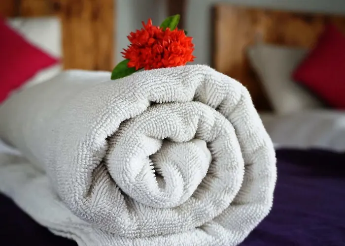Louto Dmell Villa&guesthouse Alloggio in famiglia *